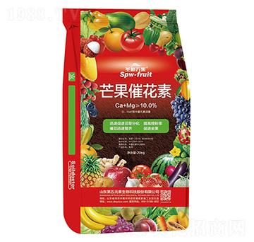 â���߻���-ʥ���f��-����Ԫ��