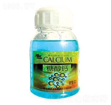 �Ǵ��}-���S���r-���S