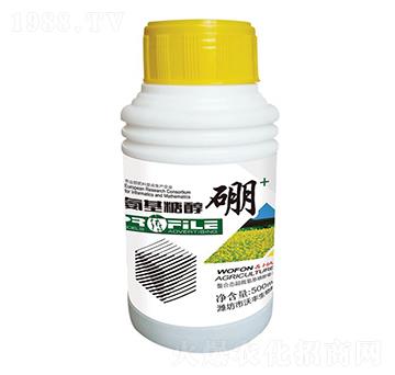 �����Ǵ���-���S���r-