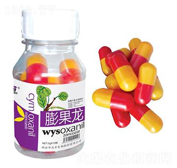 �����-���S���r-���S