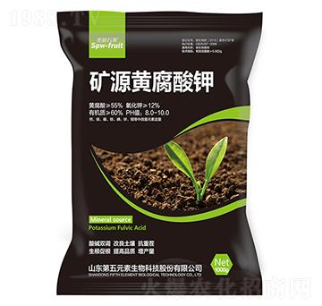 �VԴ�S�����-ʥ���f��-����Ԫ��