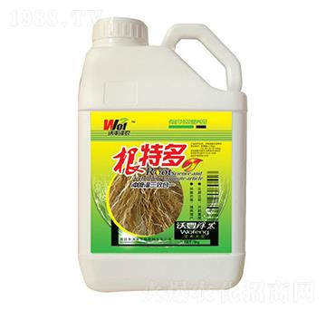 ���ض�-���S���r-���S����