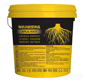 �ЙC���ܠI�B(y��ng)Ʒ-ס������