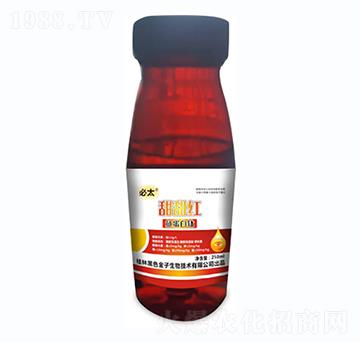 ����t-�~�����-��ɫ����