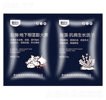 ��ø�����¸��o�����+���塤�������L����-�Z����