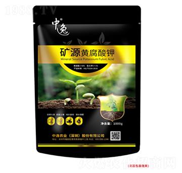 �VԴ�S�����-�����r�I(y��)