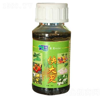 ����`-���d����