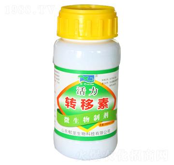 �����D(zhu��n)����-���d����