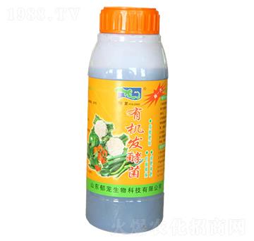 �ЙC(j��)�l(f��)�;�-���d����