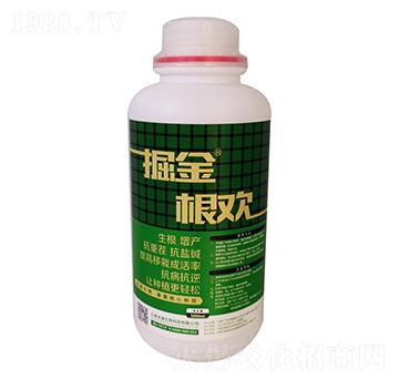 �����g-�̵�