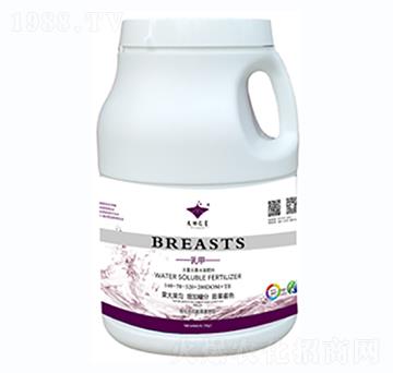 ���140-70-320+TE-�º���