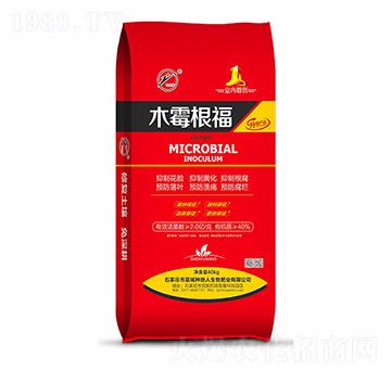 ΢�������-ľù����-�N����