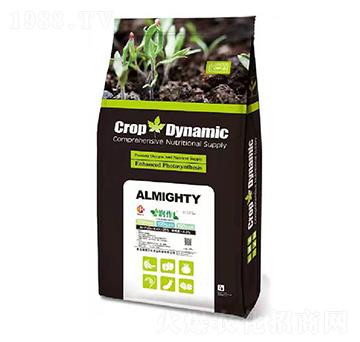 �S����⛹��ܷ�-����-�����f�S