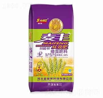 �pЧ�ʓ������20-2