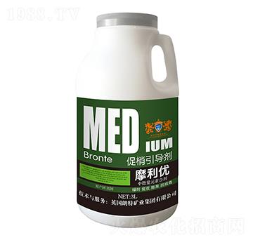 ����������-Ӣ����