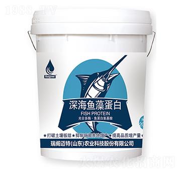 ��~(y��)�嵰��-���w�~��