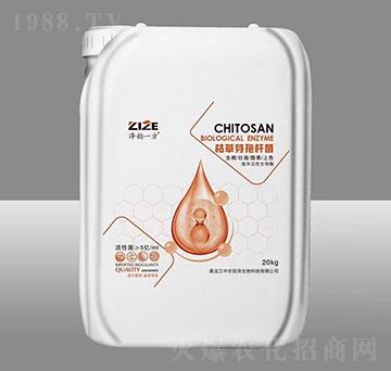 �ݲ�ѿ�ߗU��-���һ��-���r���