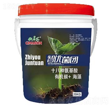 �������ЙC̼����ˮ�ܷ�-���R������