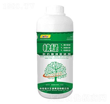 �~Ƭ��(f��)�G���M��-��G-��������