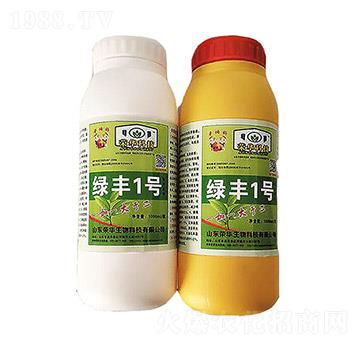 �G�S1̖(h��o)-�s�A����