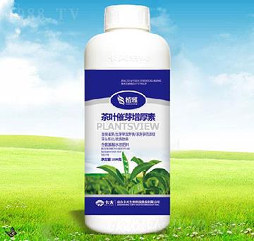 ���~��ѿ�ߺ���-������