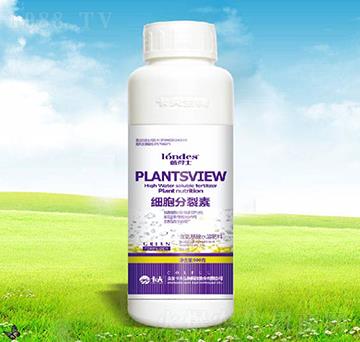 500�˼�(x��)��������-������