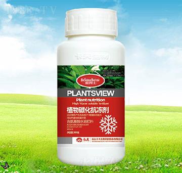 300��ֲ��Ż�������-������