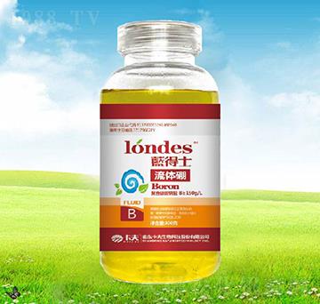 300���{��ʿ���w��-����