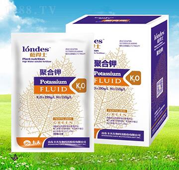 20���{(l��n)��ʿ�ۺ��-����