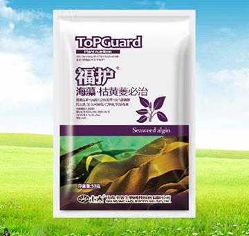 ������Sή����-���o(h��)-����