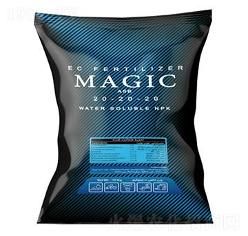 Magic-ASB-202020-�ָ���