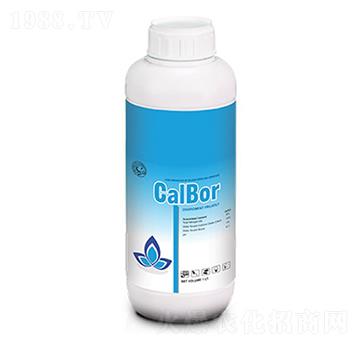 Calbor-�ָ���