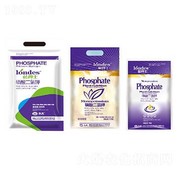 �{��ʿ��������-����