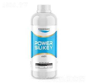 Power Silikey-�ָ���