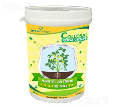 Collosal-�ָ���