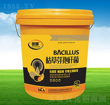 �ݲ�ѿ�ߗU��-��(y��u)�D-�μѸ�