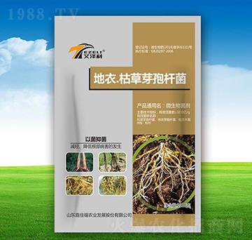 ���¡��ݲ�ѿ�ߗU��-�μѸ�