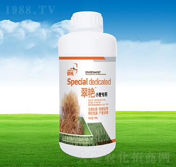 ���GС������-�μѸ�