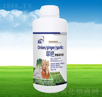 翠艷蔥姜蒜專用-嘉佳福