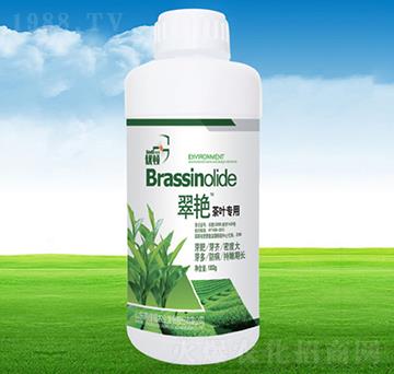 ���G���~����-�μѸ�