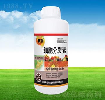 ��(x��)��������-�μѸ�