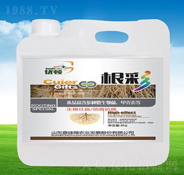 ����-��(y��u)�D-�μѸ�