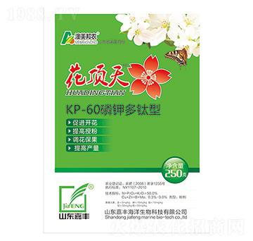 ��⛶����-�����-��