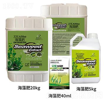 �����������-���S