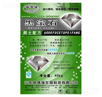 �ڌ�ʯ-�W�¸�