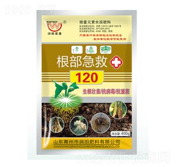 ��������120-�������