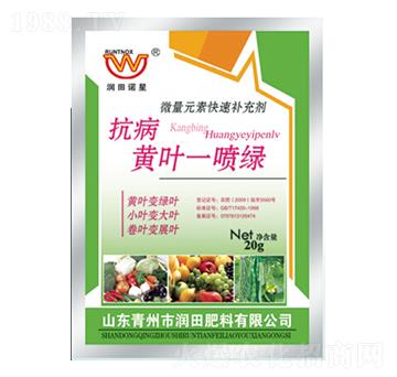 �����S�~һ���G-�������