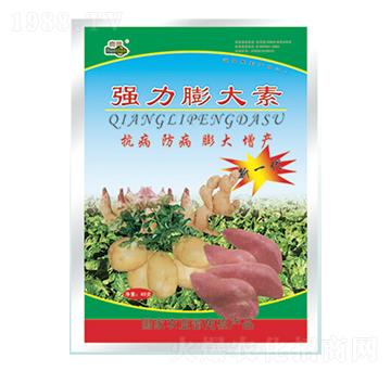 ���������-�������