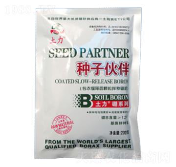 �N�ӻ��-�����ʘI(y��)