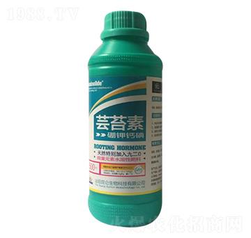 �|̦��-��(��i)���_(d��)